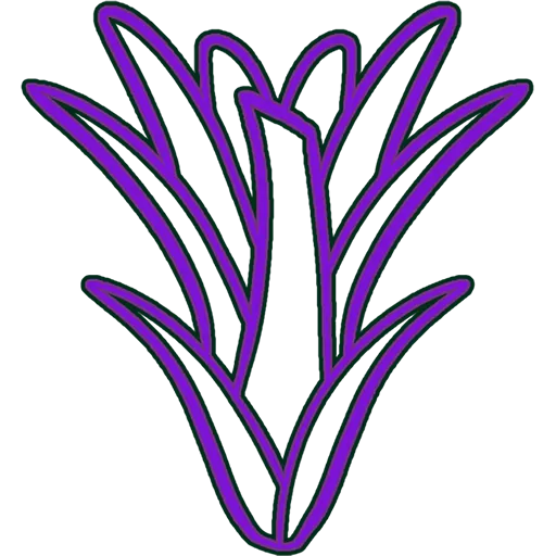 Exotic Flora